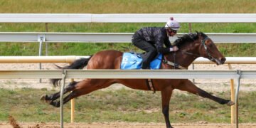 Horse Racing Videos