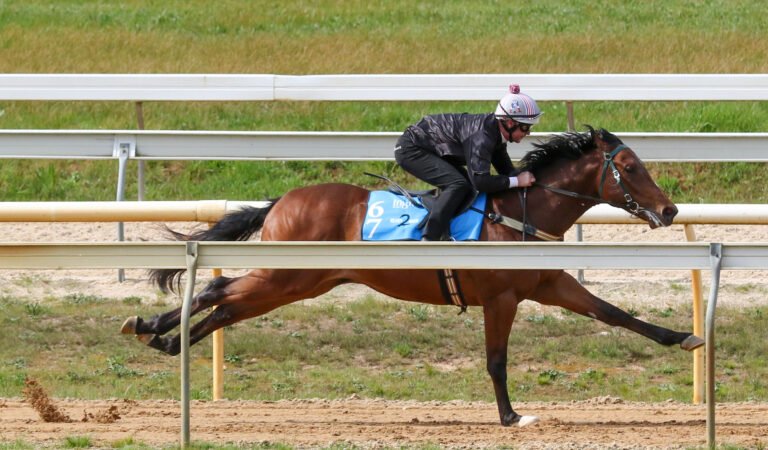 Reels of Racehorses: Why Horse Racing Videos Are the Next TikTok Sensation
