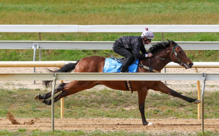 Horse Racing Videos