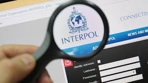 International Search