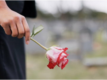 Cremation Without a Ceremony