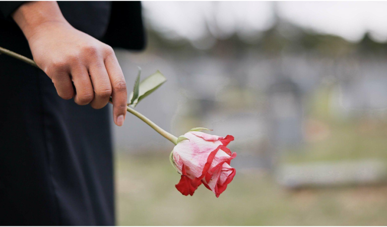 What Happens When You Choose a Cremation Without a Ceremony