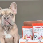 Gentle Chewable Snacks
