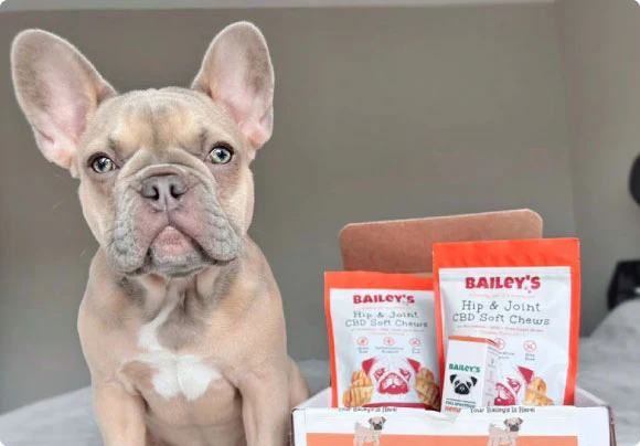 Gentle Chewable Snacks