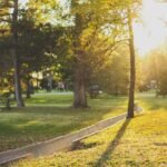 How to Make Ordinary Days Feel a Bit More Cinematic