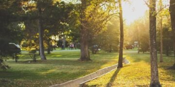 How to Make Ordinary Days Feel a Bit More Cinematic