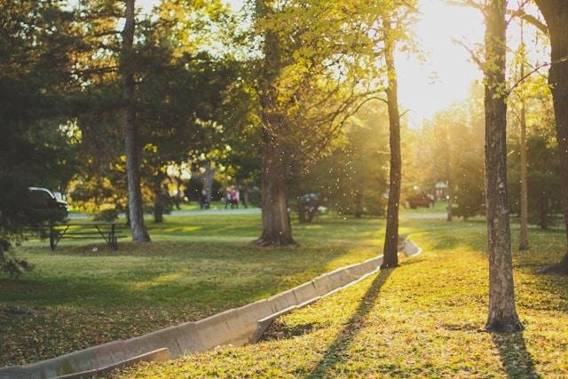 How to Make Ordinary Days Feel a Bit More Cinematic