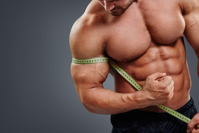 Muscle Mass