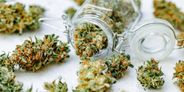 THCA Flower