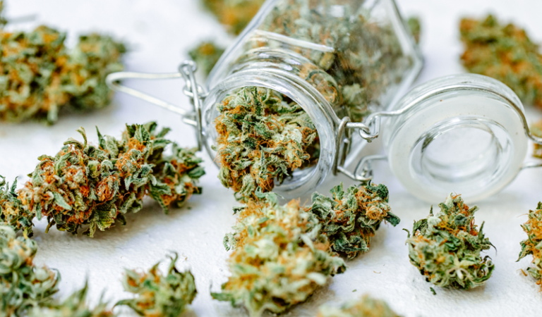 Benefits of High THCA Flower