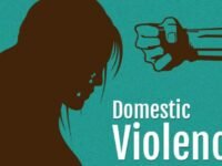 Domestic Violence Cases