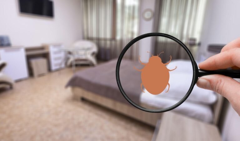 Legal Options for Tenants Dealing with Bed Bug Infestations in LA