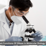 DNase In Molecular Biology Workflows