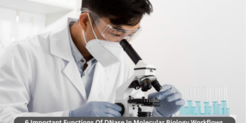 DNase In Molecular Biology Workflows