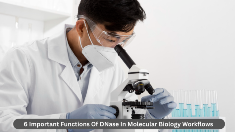 DNase In Molecular Biology Workflows