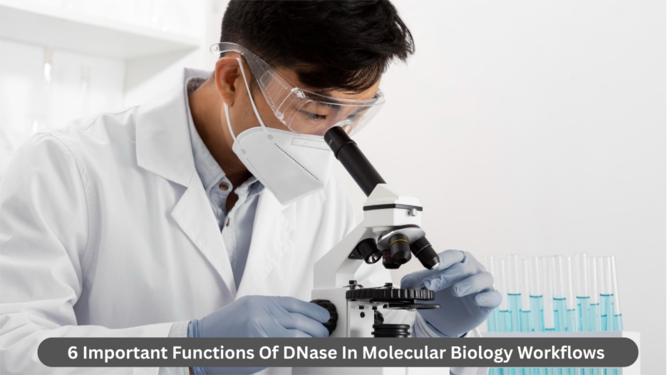 DNase In Molecular Biology Workflows