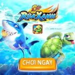 Green Turtle Fish Shooting B8B