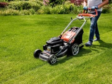 Lawn Mowing Services