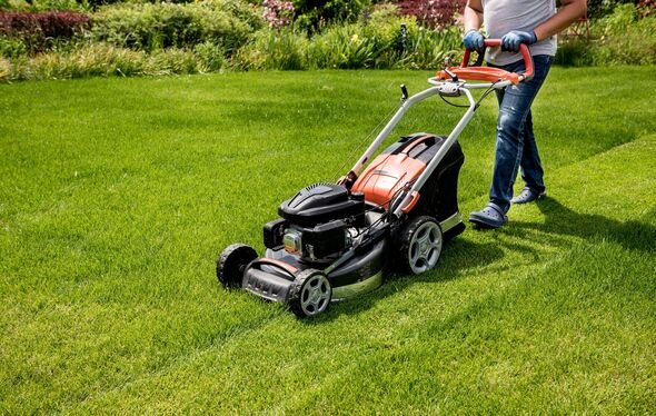 Lawn Mowing Services