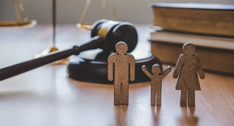 Legal Guidance in Family Matters