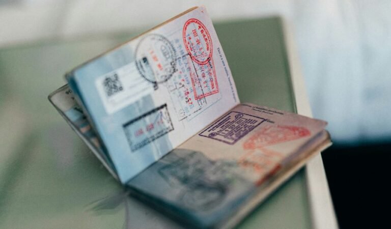 How Get My Passports Makes Passport Renewal Simple and Fast