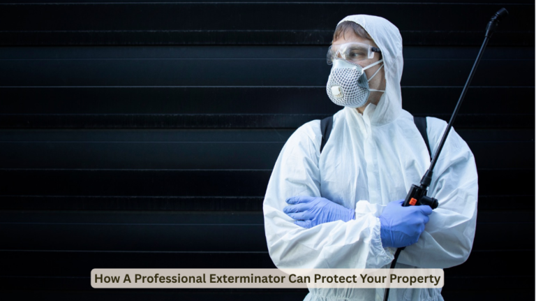 Professional Exterminator