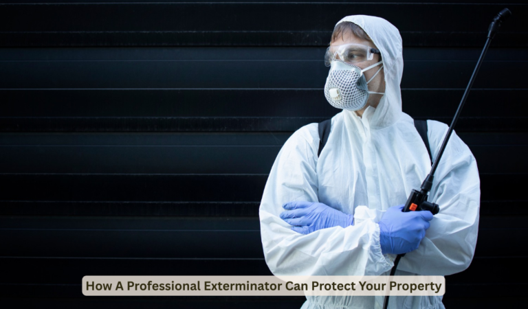 How A Professional Exterminator Can Protect Your Property