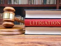 IP Litigation