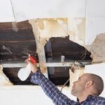 Mold Exposure