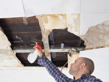Mold Exposure