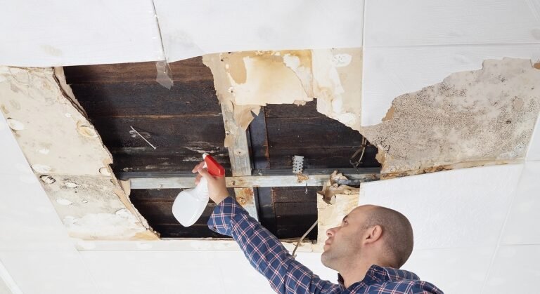 How Mold Exposure Affects Children and the Elderly: A Hidden Health Risk