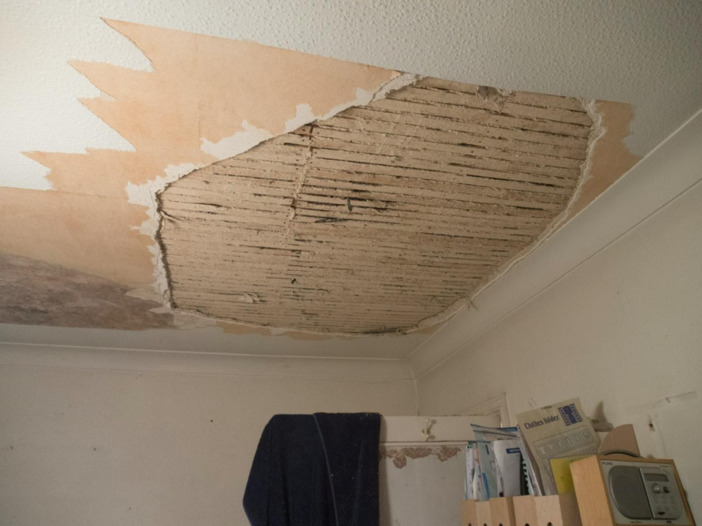 Roof Leak Insurance