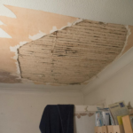 Roof Leak Insurance
