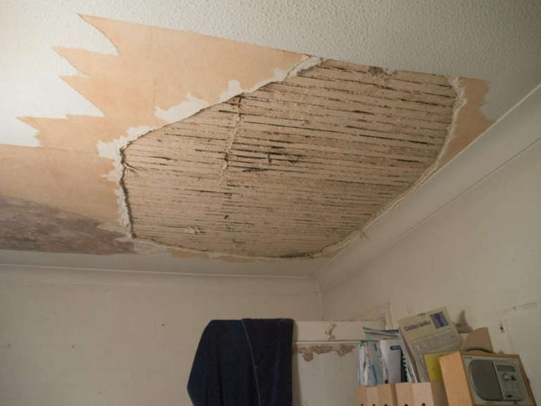 Roof Leak Insurance