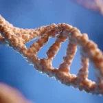 Tiny Proteins