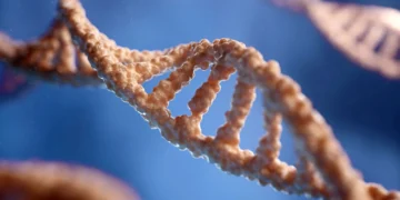 Tiny Proteins