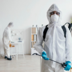 Pest Control Near Me