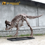 Dinosaur Skeleton for Sale
