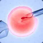 IVF care