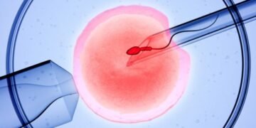 IVF care