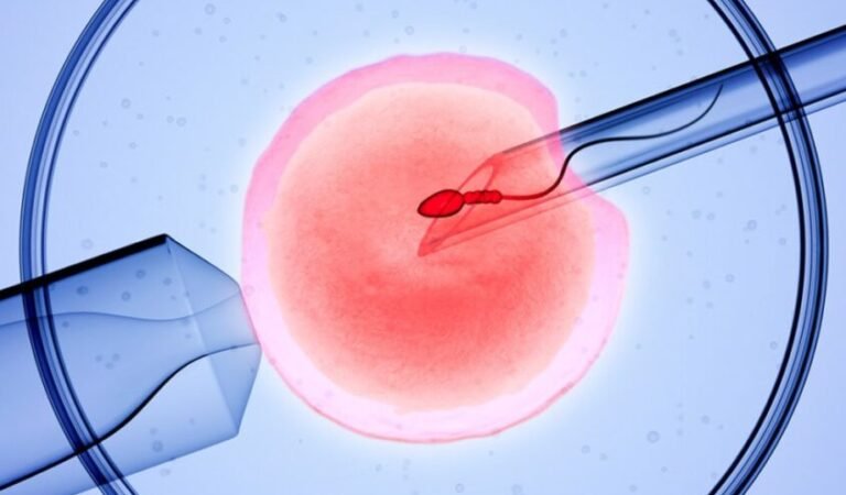 Choosing the right IVF care in Pune: what patients should know before starting treatment
