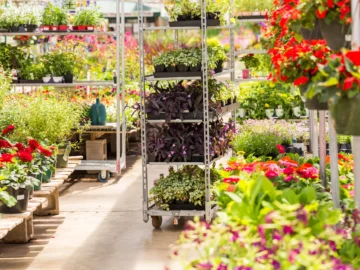 Wholesale Landscape Supply