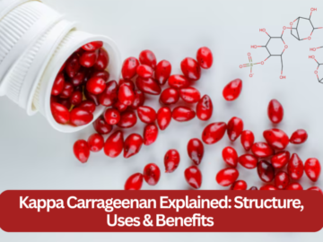 Kappa Carrageenan