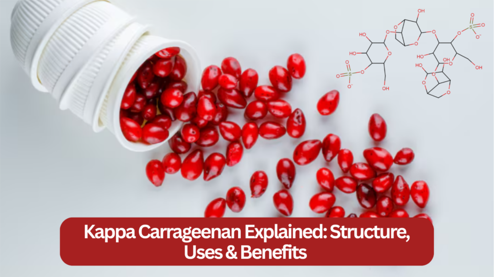 Kappa Carrageenan