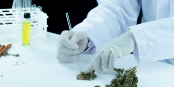 Verified Seed Quality