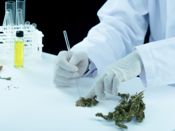 Verified Seed Quality