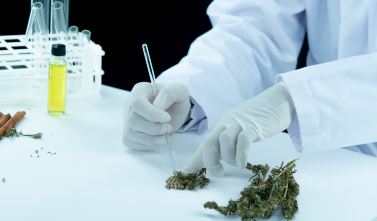 Understanding the Value of Verified Seed Quality