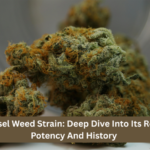 Sour Diesel Weed Strain