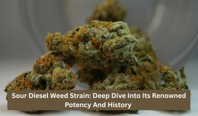 Sour Diesel Weed Strain: A Deep Dive Into Its Renowned Potency And History