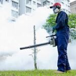 Fumigation Services